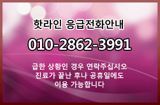 핫라인 응급전화안내 010-2862-3991