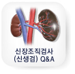 신장조직검사(신생검) Q&A